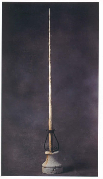 An impressive and complete antique narwhal tusk